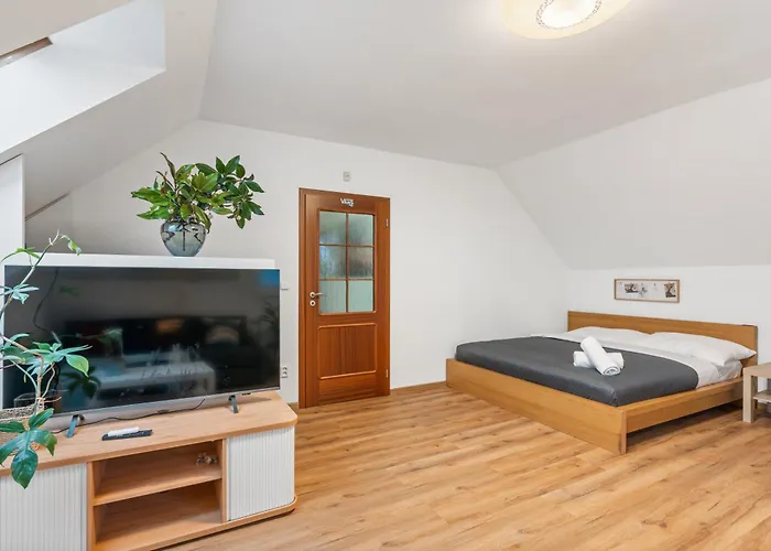 The Dante House Seberov Apartment
